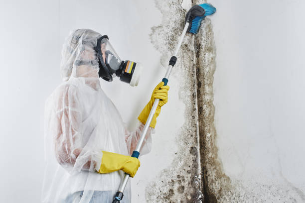 Water Damage Restoration in Brookridge, FL