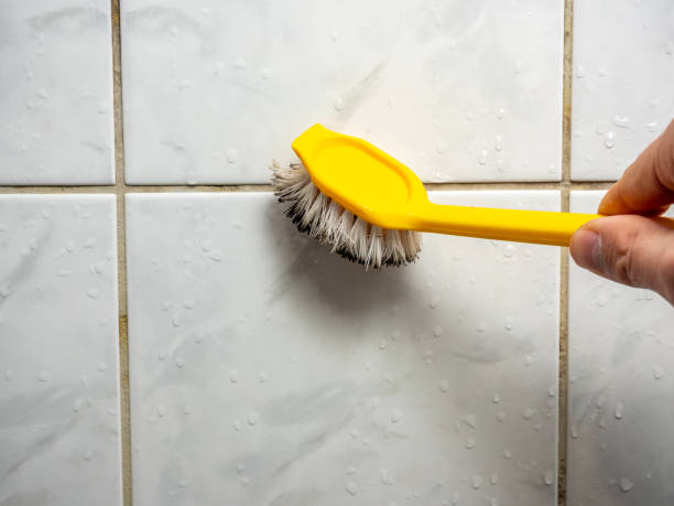 Best Mold Damage Repair  in Brookridge, FL