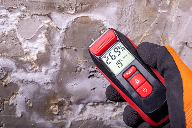 Trusted Brookridge, FL Mold Removal Experts