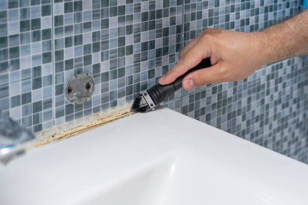Best Commercial Mold Removal  in Brookridge, FL
